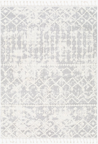 Alhambra AHB-2307 5' x 7' Machine Woven Area Rug