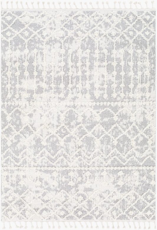 Alhambra AHB-2307 5' x 7' Machine Woven Area Rug
