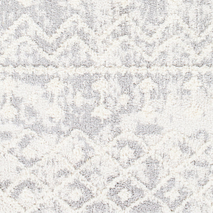 Alhambra AHB-2307 5' x 7' Machine Woven Area Rug