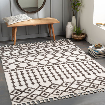Alhambra AHB-2308 9' x 12' Machine Woven Area Rug