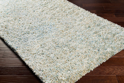 Anaheim AHM-2300 2' x 3' Handmade Accent Rug