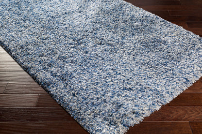 Anaheim AHM-2301 2' x 3' Handmade Accent Rug