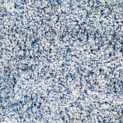 Anaheim AHM-2301 2' x 3' Handmade Accent Rug