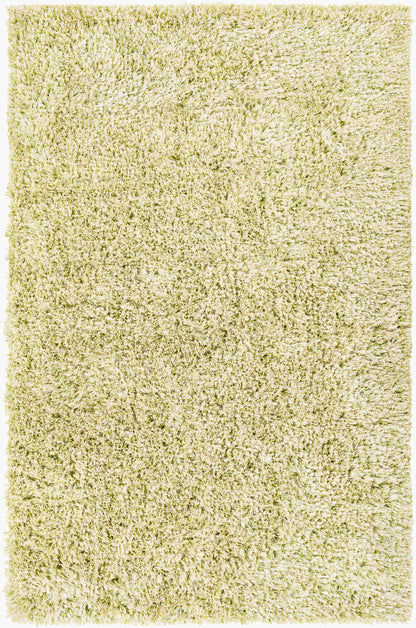 Alfombra decorativa hecha a mano Anaheim AHM-2303 de 3' x 5'