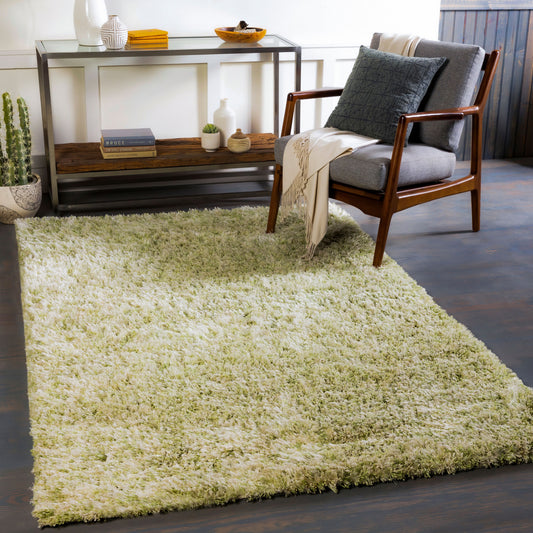 Alfombra decorativa hecha a mano Anaheim AHM-2303 de 3' x 5'