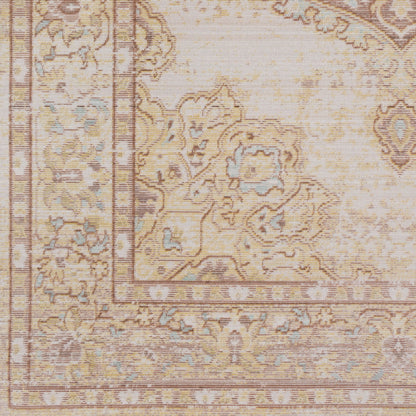 Alfombra decorativa tejida a máquina Antioch AIC-2323 de 2' x 3'