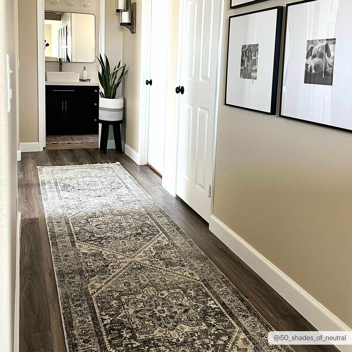 Chicago CHG-2316 Machine Woven Rug