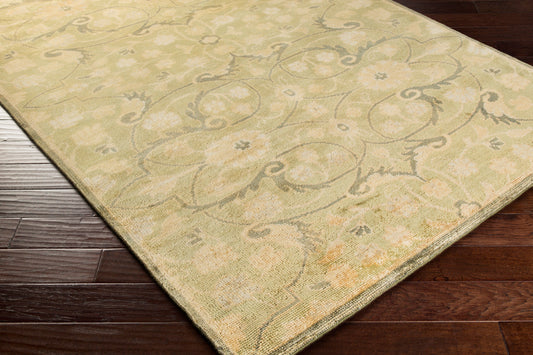Ainsley AIN-1013 3' x 5' Handmade Wool Accent Rug