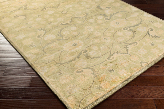 Ainsley AIN-1013 Hand Knotted Rug