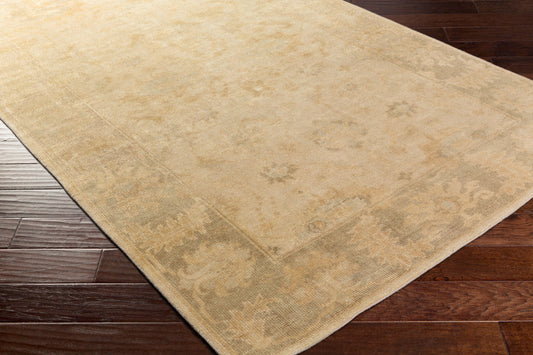 Ainsley AIN-1017 3' x 5' Handmade Wool Accent Rug