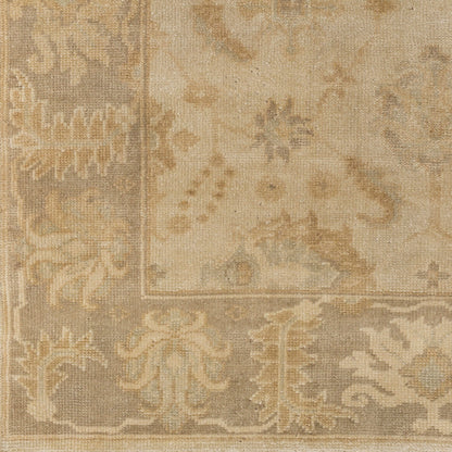 Ainsley AIN-1017 Hand Knotted Rug