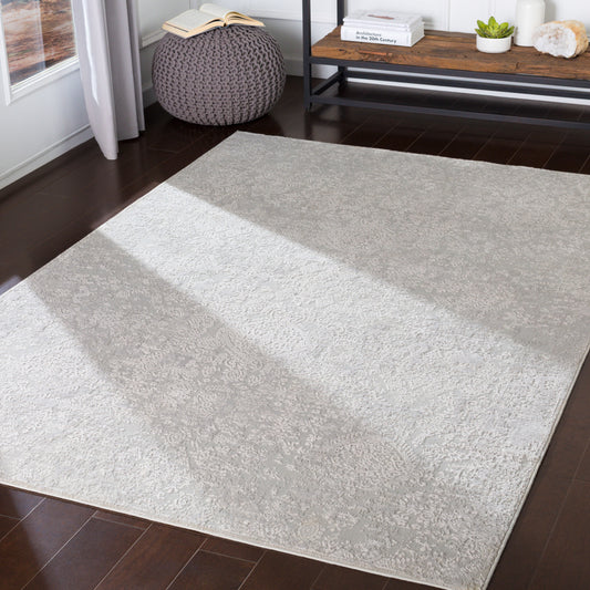 Aisha AIS-2306 2' x 3' Machine Woven Accent Rug