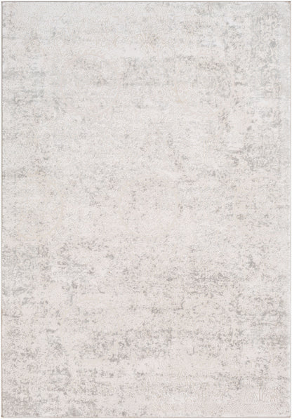 Alfombra decorativa tejida a máquina Aisha AIS-2307 de 3' x 5'