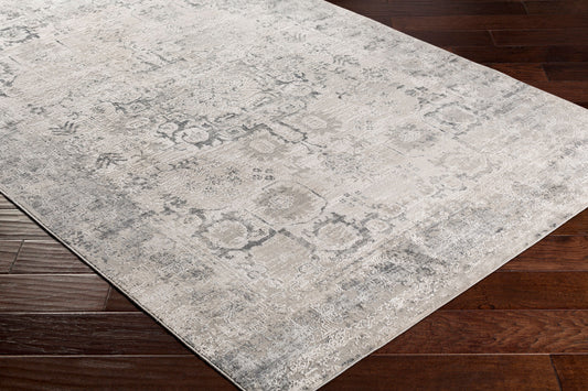 Alfombra decorativa tejida a máquina Aisha AIS-2316 de 3' x 5'
