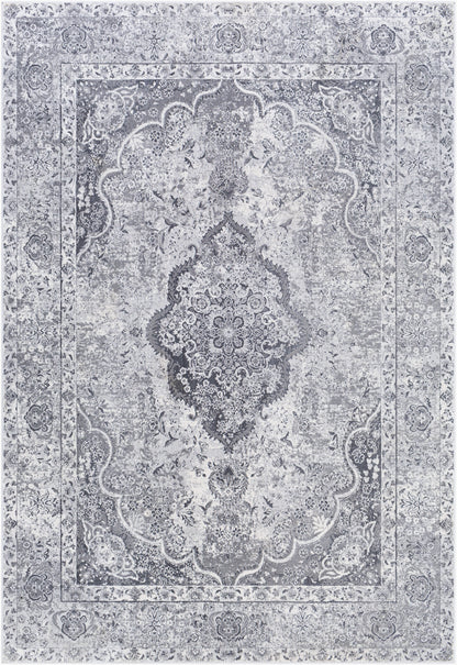Aisha AIS-2319 2' x 3' Machine Woven Accent Rug