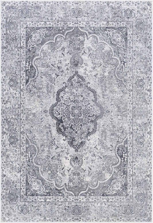 Aisha AIS-2319 2' x 3' Machine Woven Accent Rug