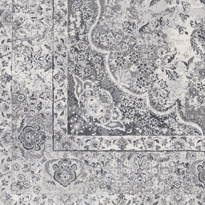 Aisha AIS-2319 2' x 3' Machine Woven Accent Rug