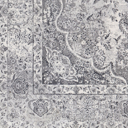 Aisha AIS-2319 Machine Woven Rug