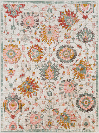 Ankara AKR-2334 8' x 10' Machine Woven Area Rug