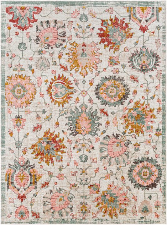 Ankara AKR-2334 8' x 10' Machine Woven Area Rug