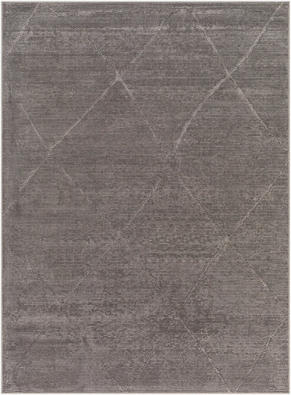 Alfombra lavable a máquina Alder ALD-2302 de 1,52 m x 2,13 m