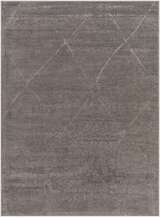 Alfombra lavable a máquina Alder ALD-2302 de 1,52 m x 2,13 m