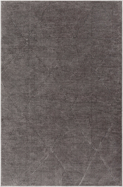 Alfombra lavable a máquina Alder ALD-2302 de 8' x 10'