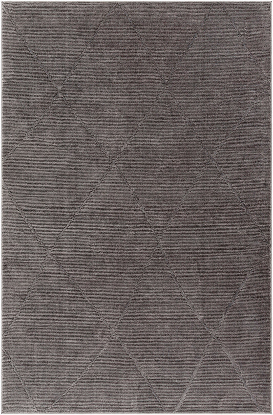 Alfombra lavable a máquina Alder ALD-2302 de 9' x 12'