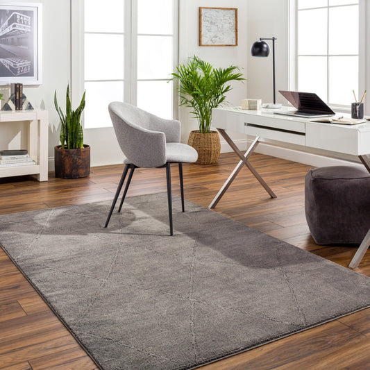 Alfombra lavable a máquina Alder ALD-2302 de 6' x 9'