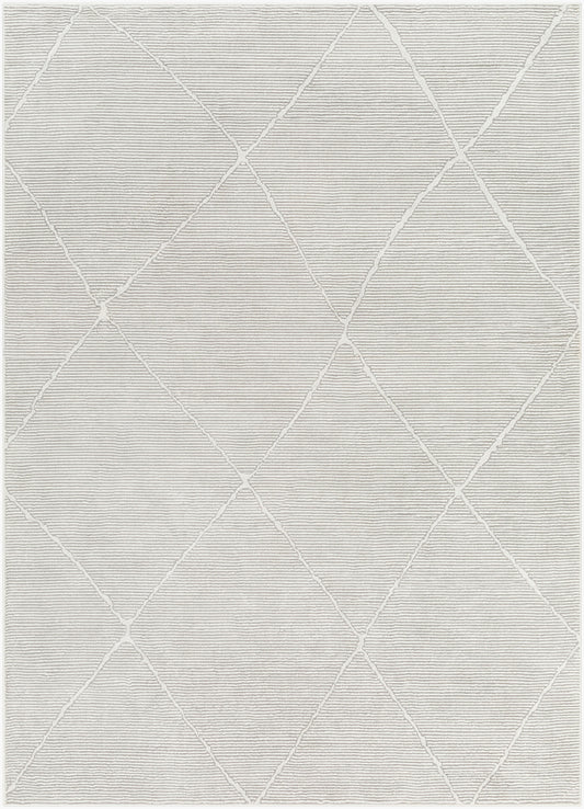 Alfombra lavable a máquina Alder ALD-2303 de 1,52 m x 2,13 m