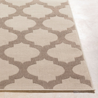 Alfresco ALF-9586 2' x 4' Machine Woven Indoor/Outdoor Accent Rug