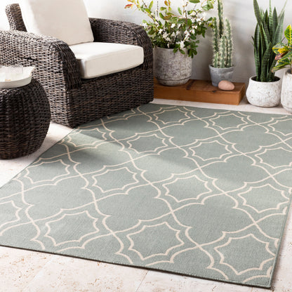 Alfresco ALF-9589 5' x 7' Machine Woven Indoor/Outdoor Area Rug