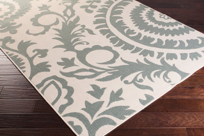 Alfresco ALF-9614 2' x 4' Machine Woven Indoor/Outdoor Accent Rug