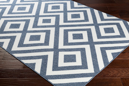 Alfresco ALF-9657 2' x 4' Machine Woven Indoor/Outdoor Accent Rug