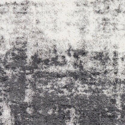 Aliyah Shag ALH-2306 2' x 3' Machine Woven Accent Rug
