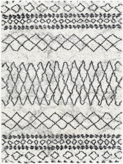 Aliyah Shag ALH-2311 5' x 7' Machine Woven Area Rug