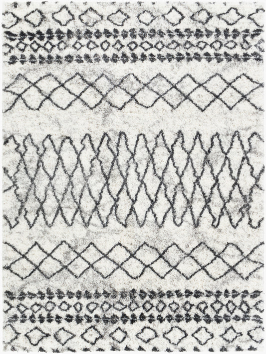 Aliyah Shag ALH-2311 5' x 7' Machine Woven Area Rug