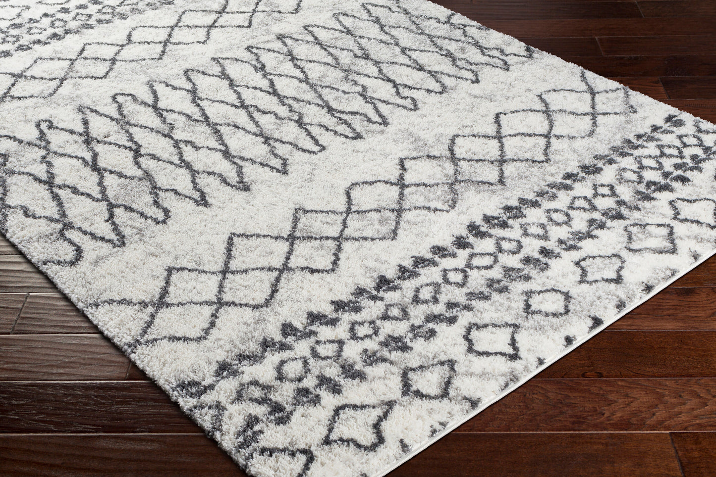 Aliyah Shag ALH-2311 5' x 7' Machine Woven Area Rug