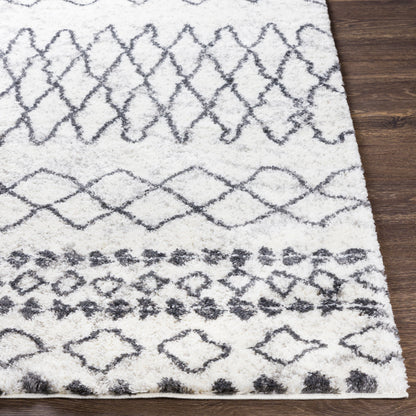 Aliyah Shag ALH-2311 5' x 7' Machine Woven Area Rug