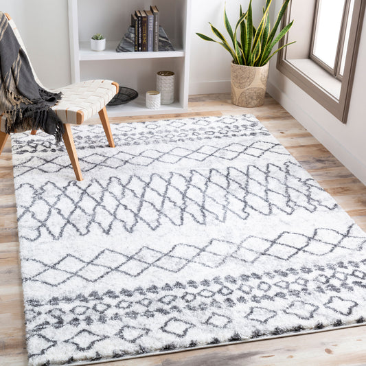 Aliyah Shag ALH-2311 5' x 7' Machine Woven Area Rug