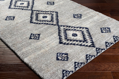 Aliyah Shag ALH-2313 8' x 10' Machine Woven Area Rug
