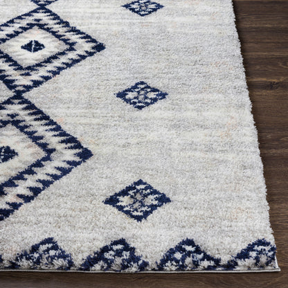 Aliyah Shag ALH-2313 8' x 10' Machine Woven Area Rug