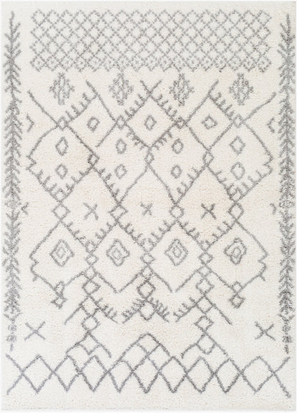 Aliyah Shag ALH-2315 5' x 7' Machine Woven Area Rug