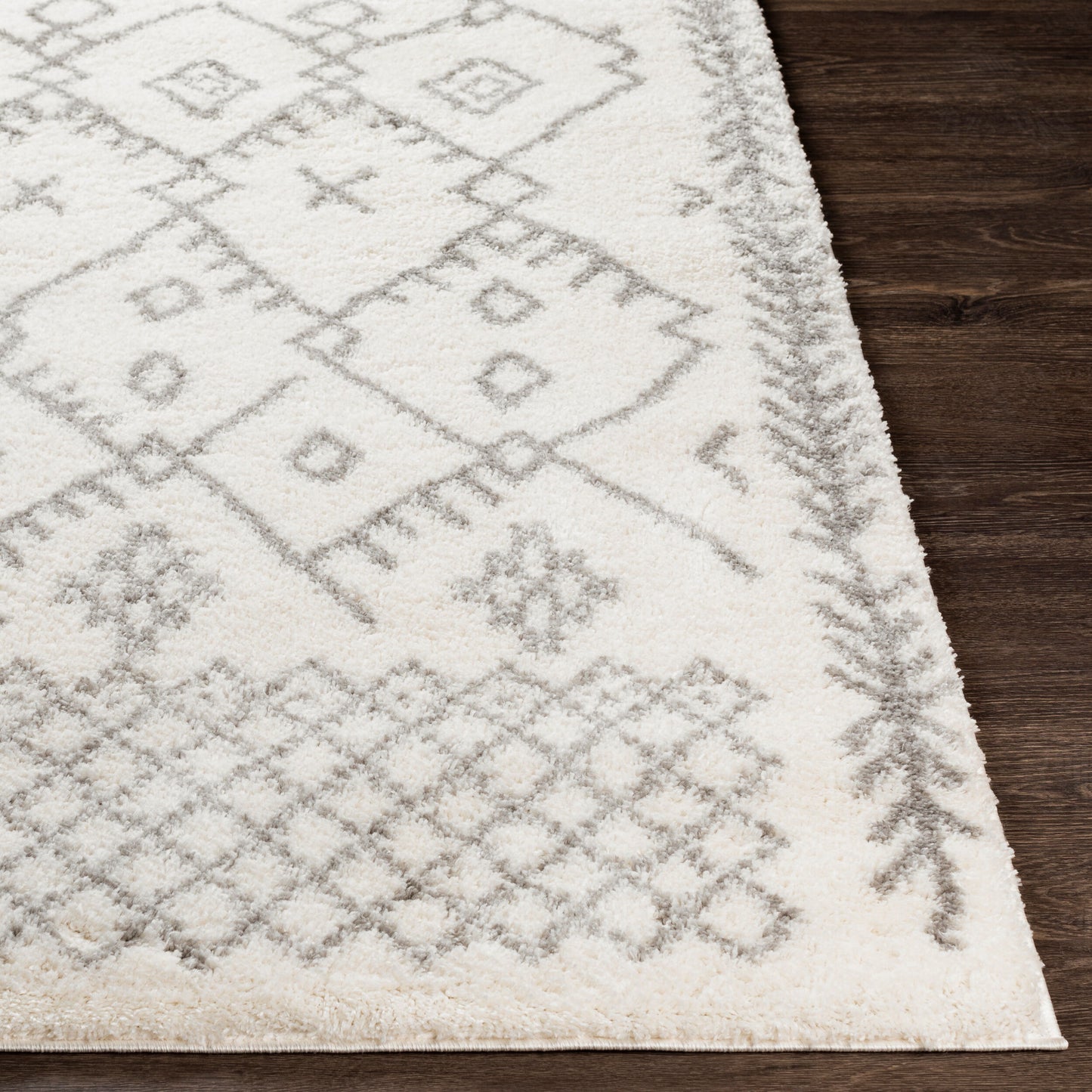 Aliyah Shag ALH-2315 5' x 7' Machine Woven Area Rug