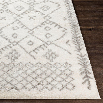 Alfombra decorativa tejida a máquina Aliyah Shag ALH-2315 de 2' x 3'