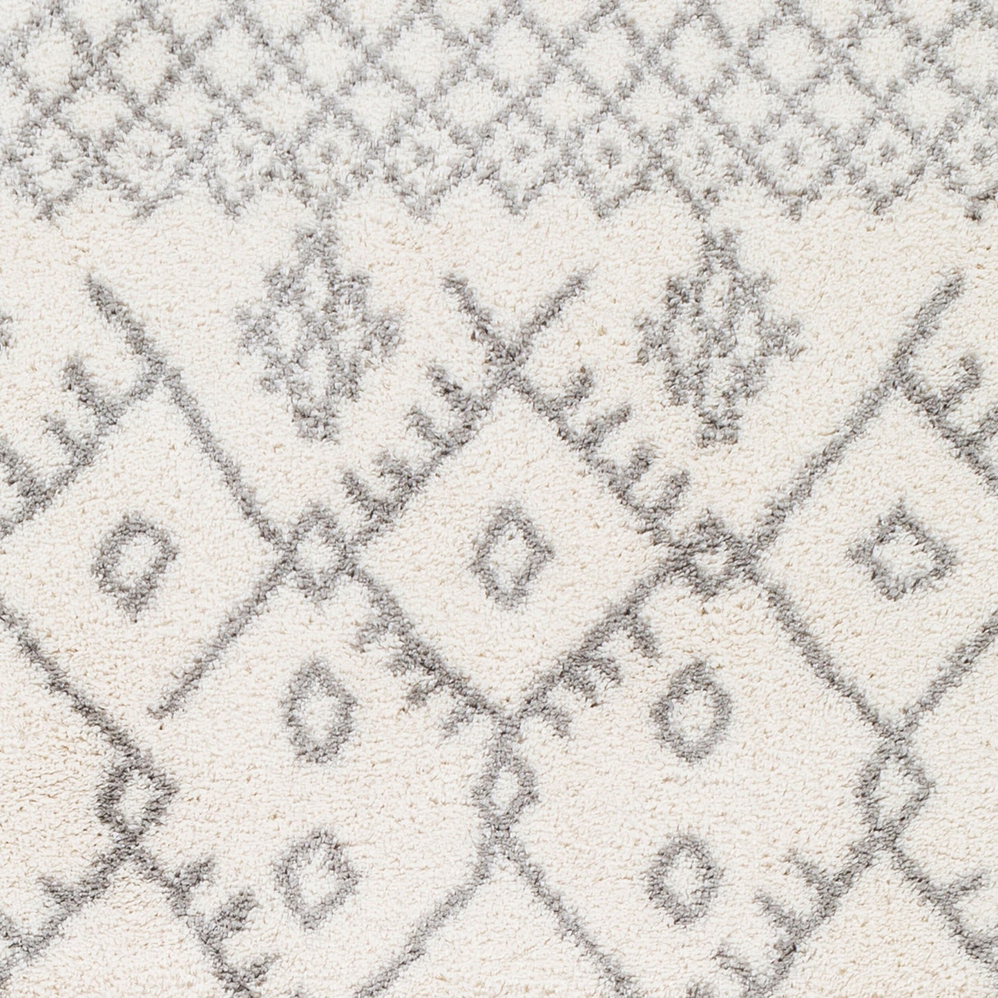 Aliyah Shag ALH-2315 5' x 7' Machine Woven Area Rug