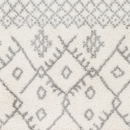 Aliyah Shag ALH-2315 5' x 7' Machine Woven Area Rug