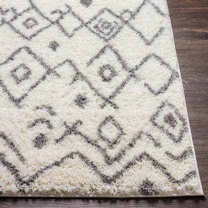 Alfombra decorativa tejida a máquina Aliyah Shag ALH-2316 de 2' x 3'