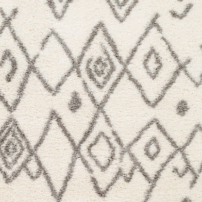 Alfombra decorativa tejida a máquina Aliyah Shag ALH-2316 de 2' x 3'