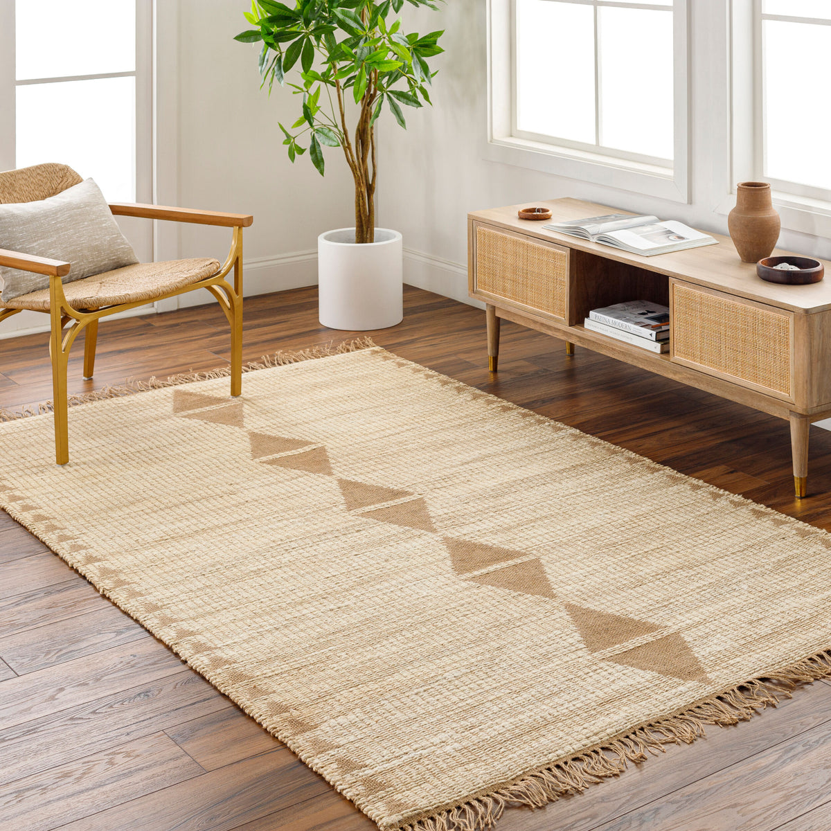 Alexandra ALX-2303 Hand Woven Rug